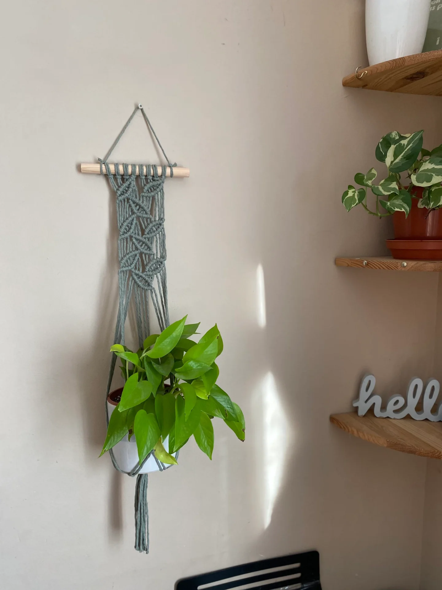 Wall hanging indoor plant hanger made with sage green recycled cotton