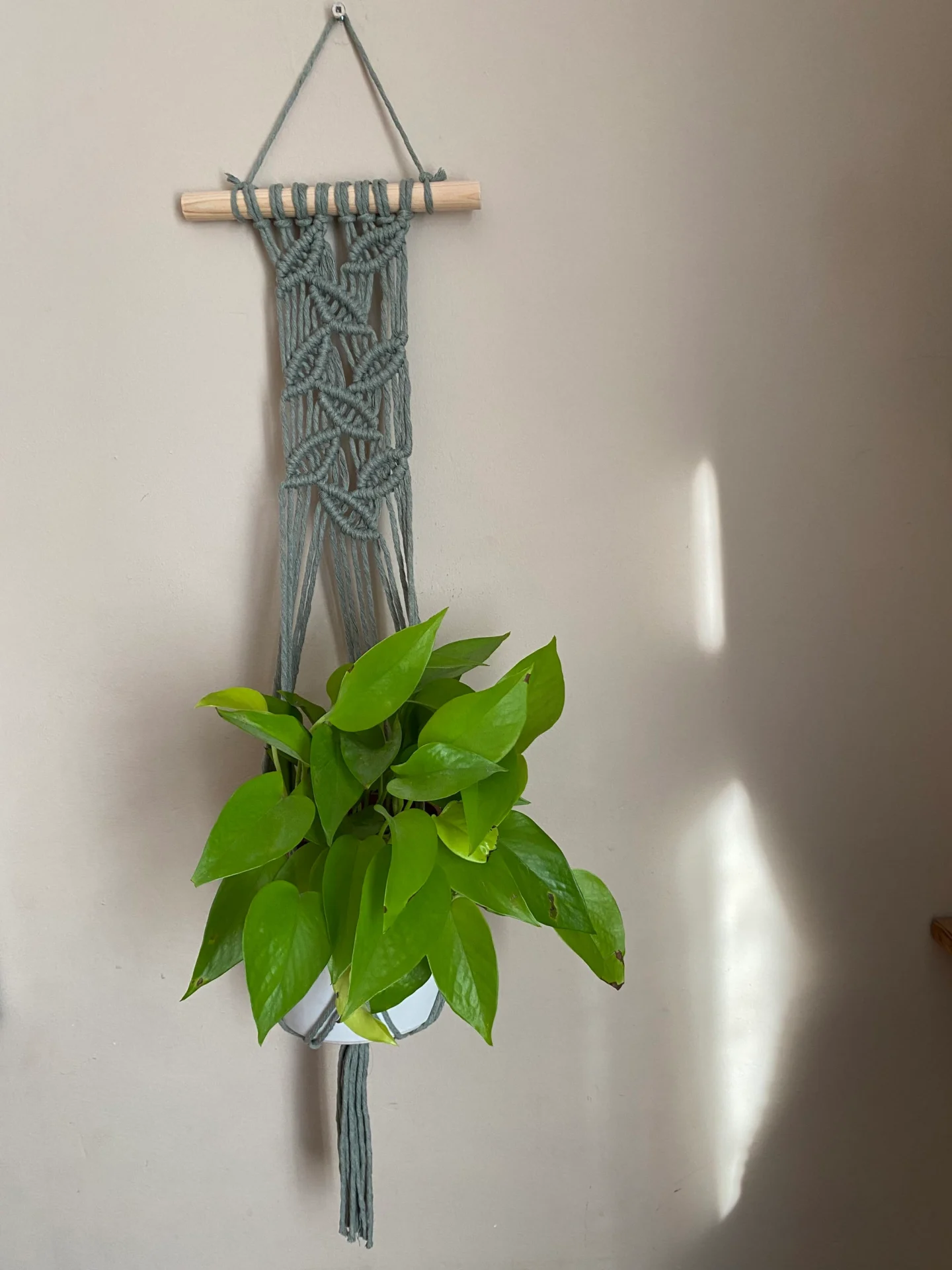 Wall hanging indoor plant hanger made with sage green recycled cotton