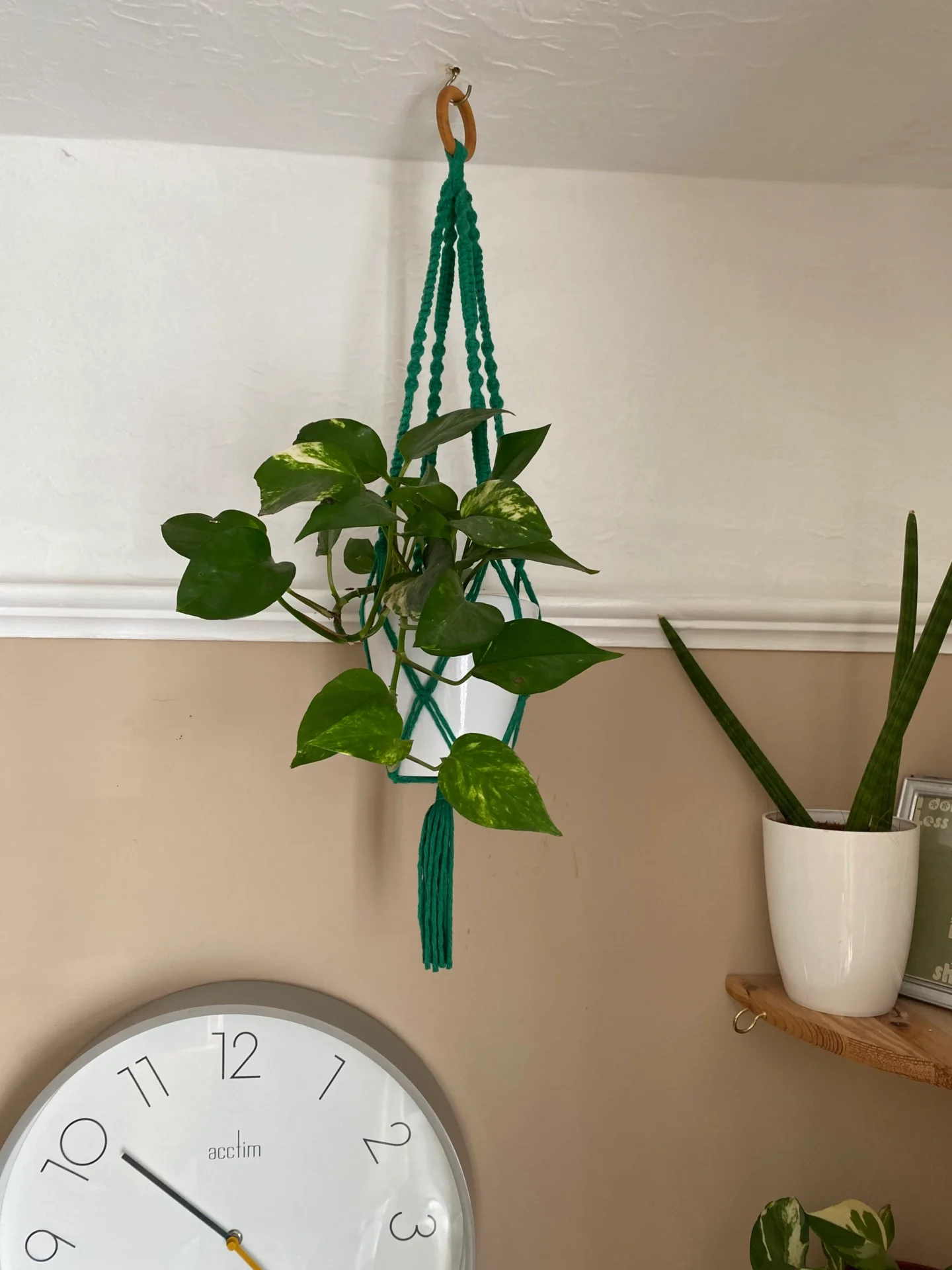 Macrame Plant Hanger made with recycled cotton and a repurposed wooden hanging ring