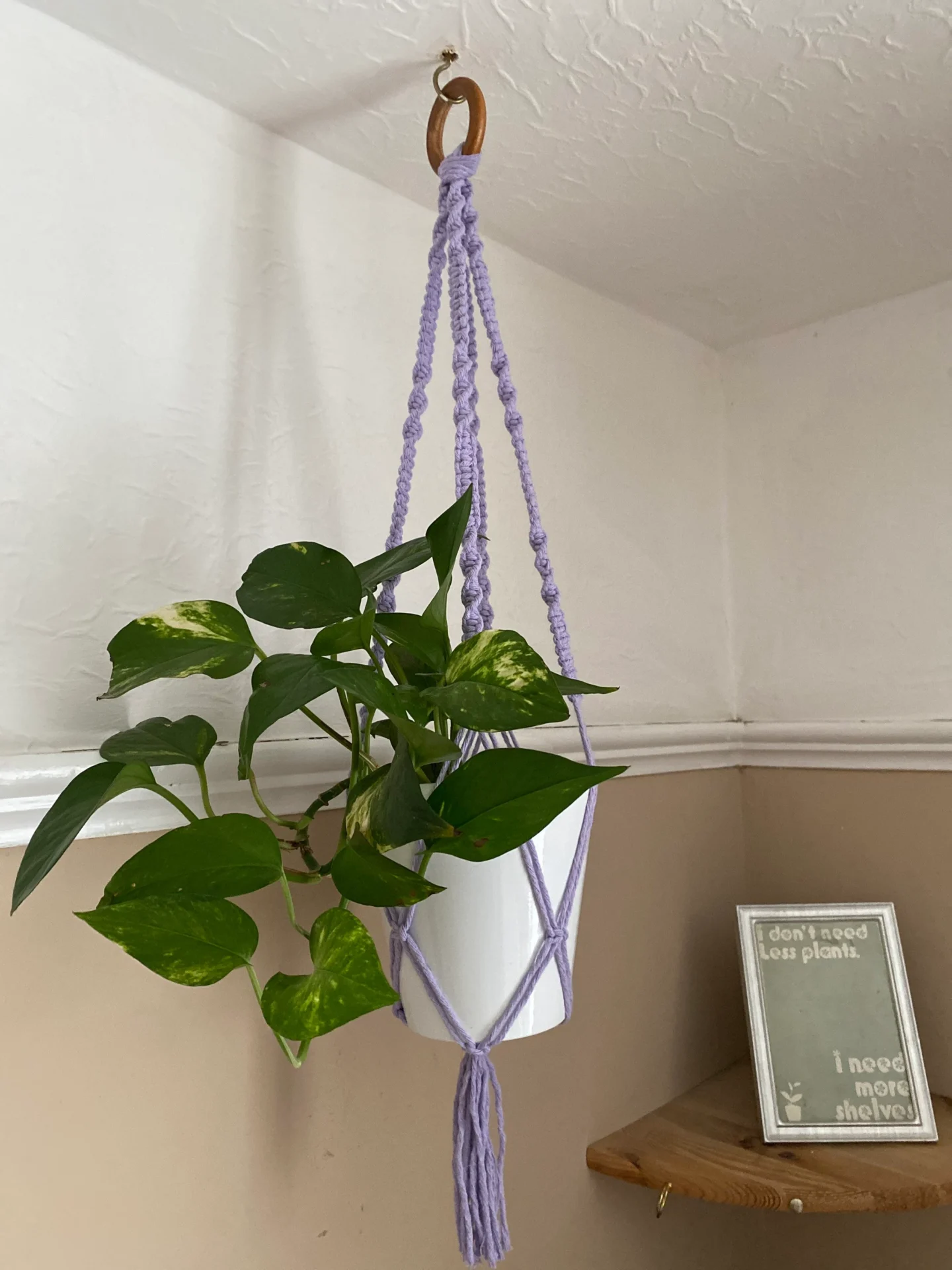 Macrame Plant Hanger made with recycled cotton and a repurposed wooden hanging ring