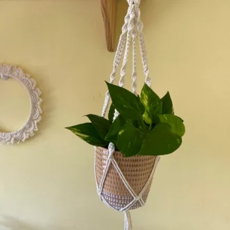 Macrame Plant Hanger made with recycled cotton and a repurposed wooden hanging ring