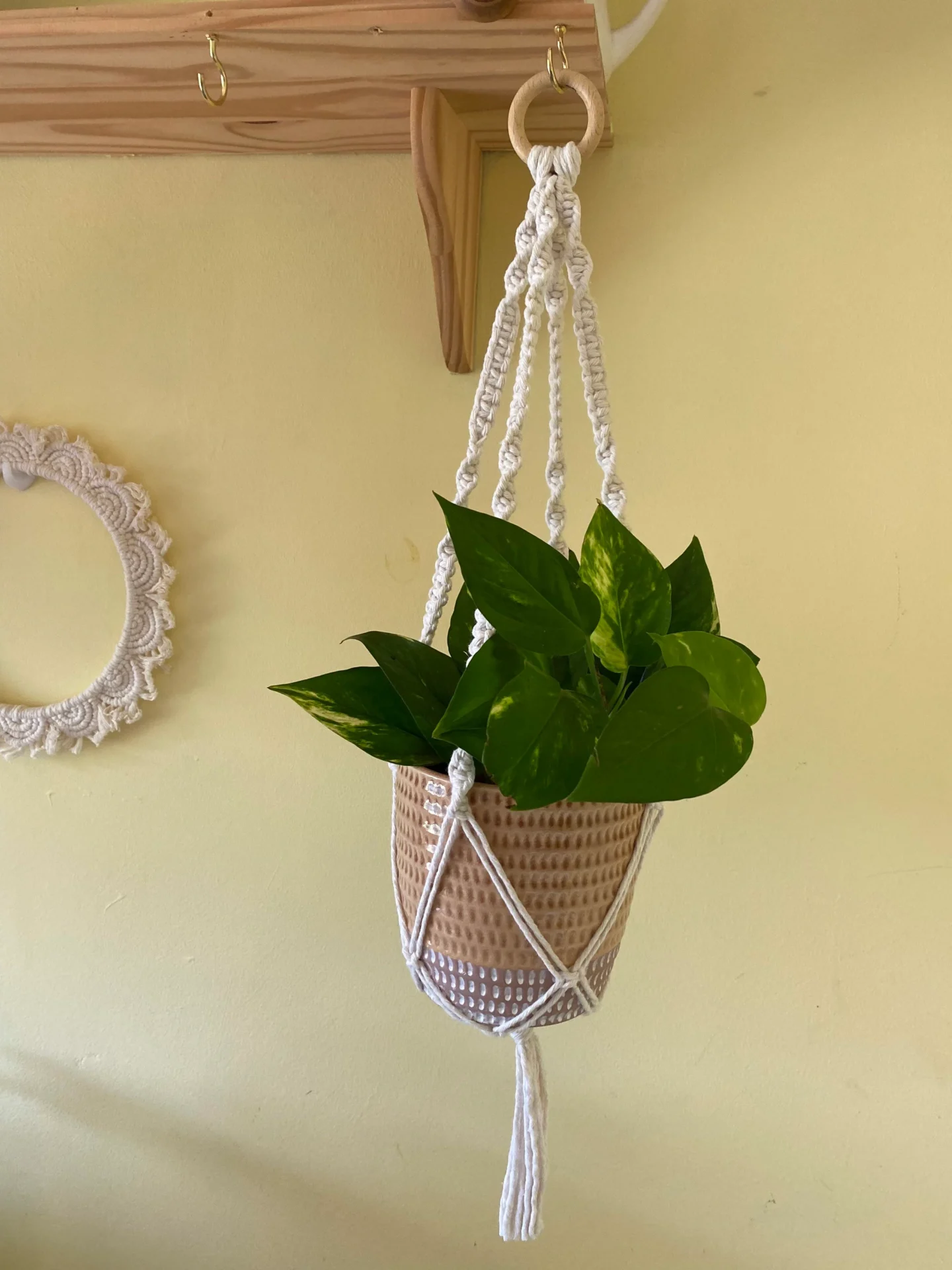 Macrame Plant Hanger made with recycled cotton and a repurposed wooden hanging ring