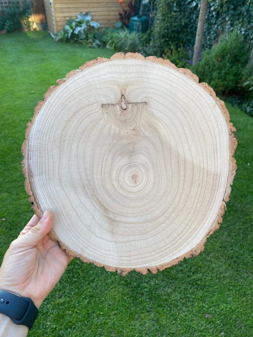 Natural wood slice