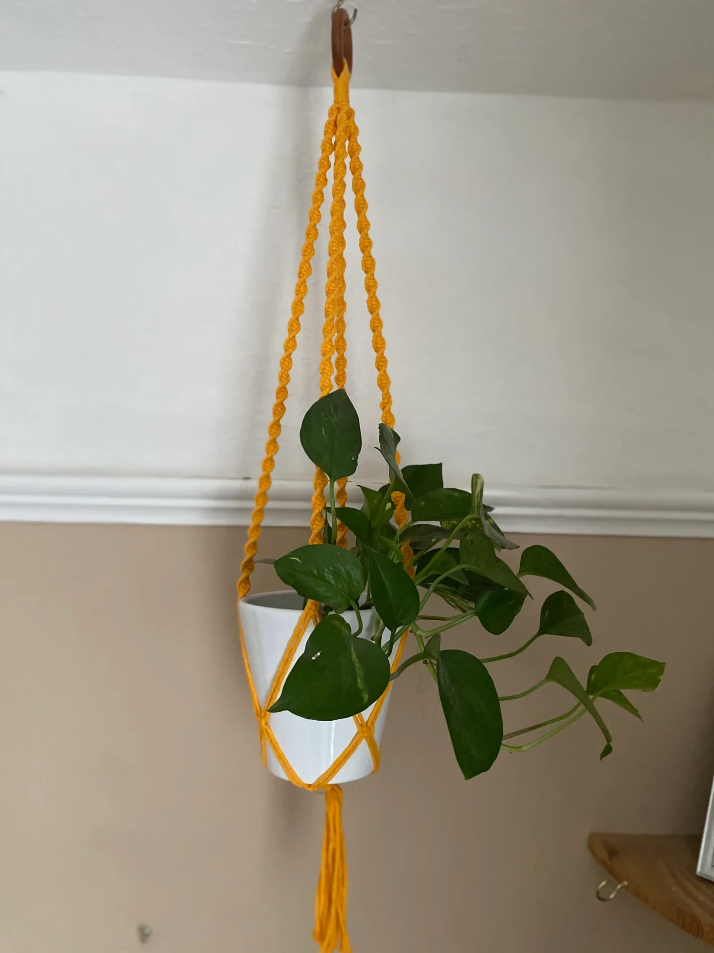 Twisted macrame plant hanger made with amber yellow recycled cotton