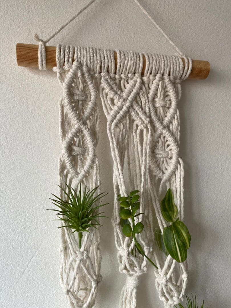 Macrame plant propagation station wall hanging made with recycled cotton