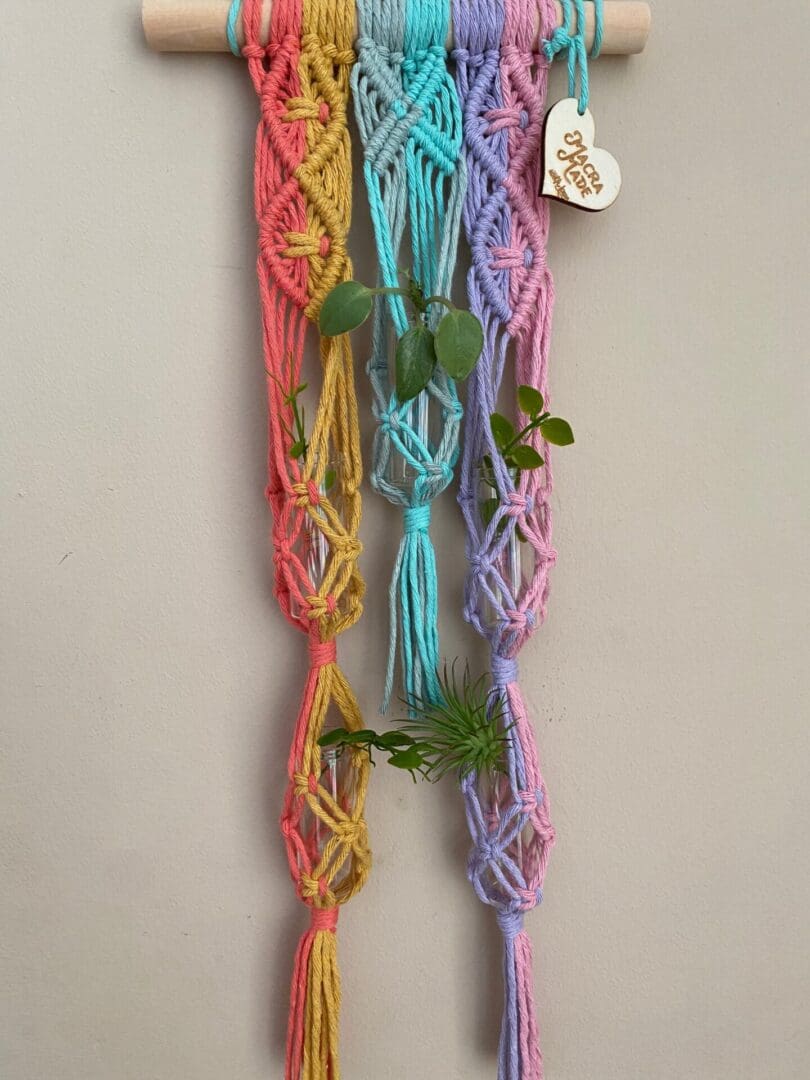 Macrame plant propagation station wall hanging made with recycled cotton