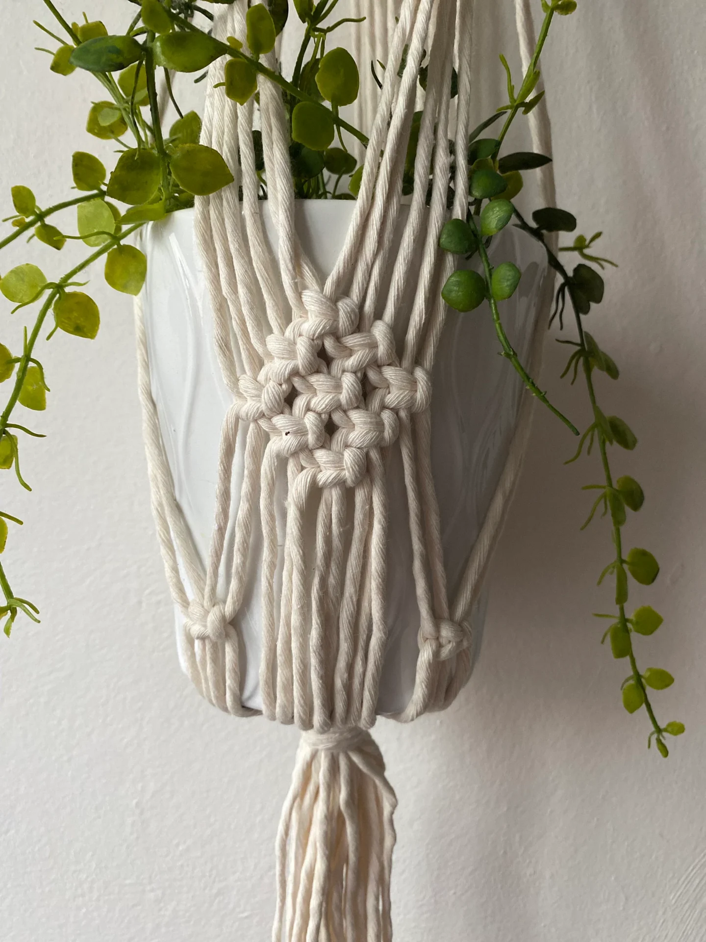 Macrame wall hanging indoor plant holder, made with natural recycled cotton on a wooden dowel.