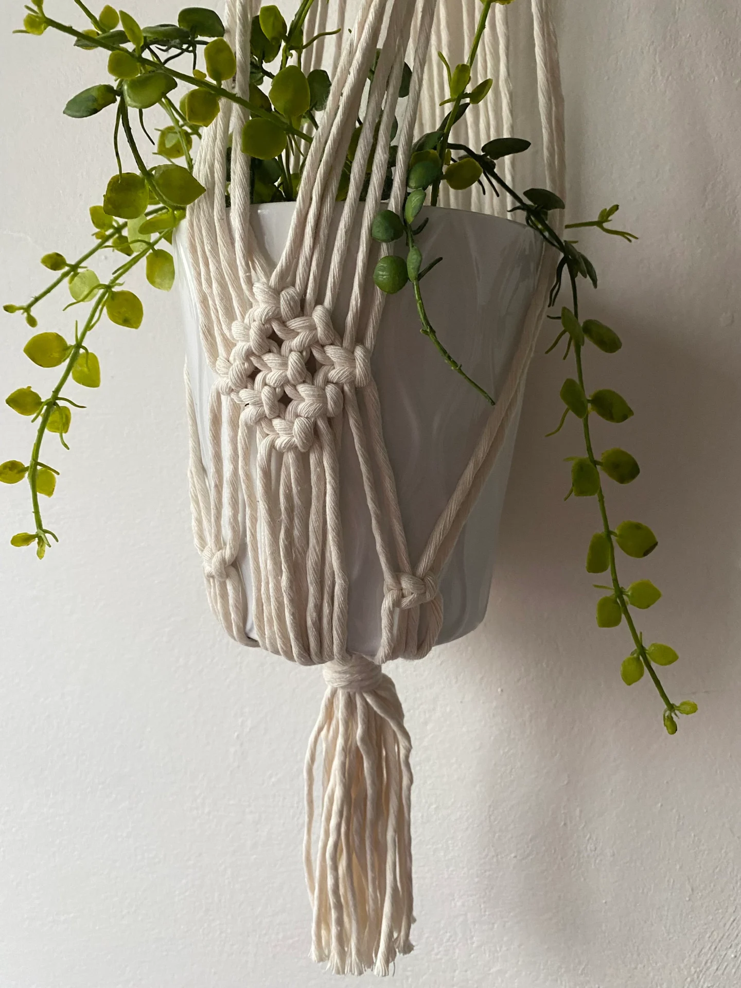 Macrame wall hanging indoor plant holder, made with natural recycled cotton on a wooden dowel.