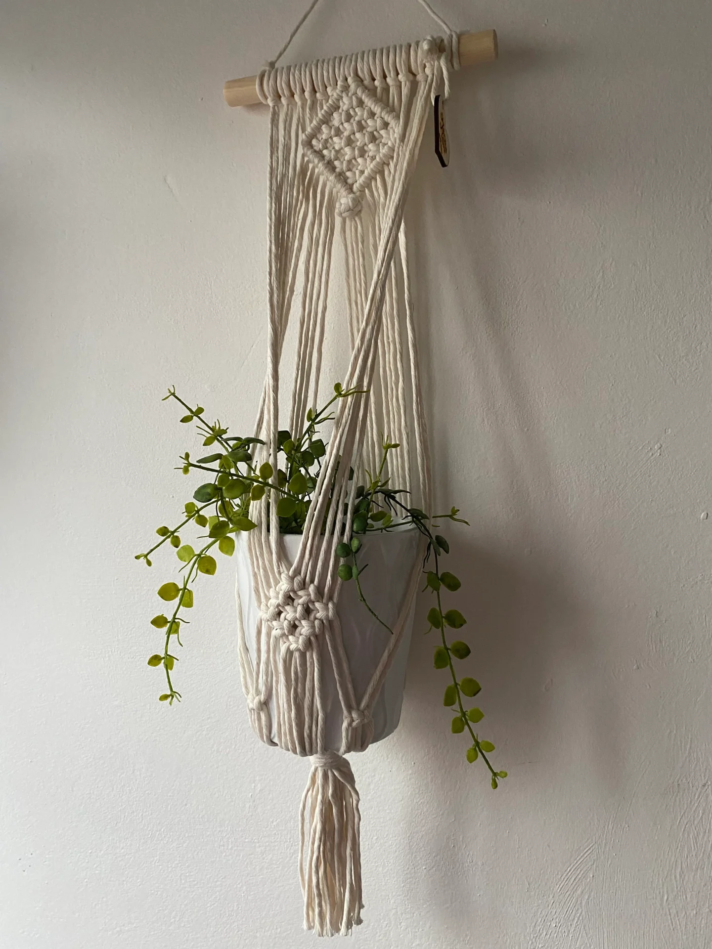 Macrame wall hanging indoor plant holder, made with natural recycled cotton on a wooden dowel.