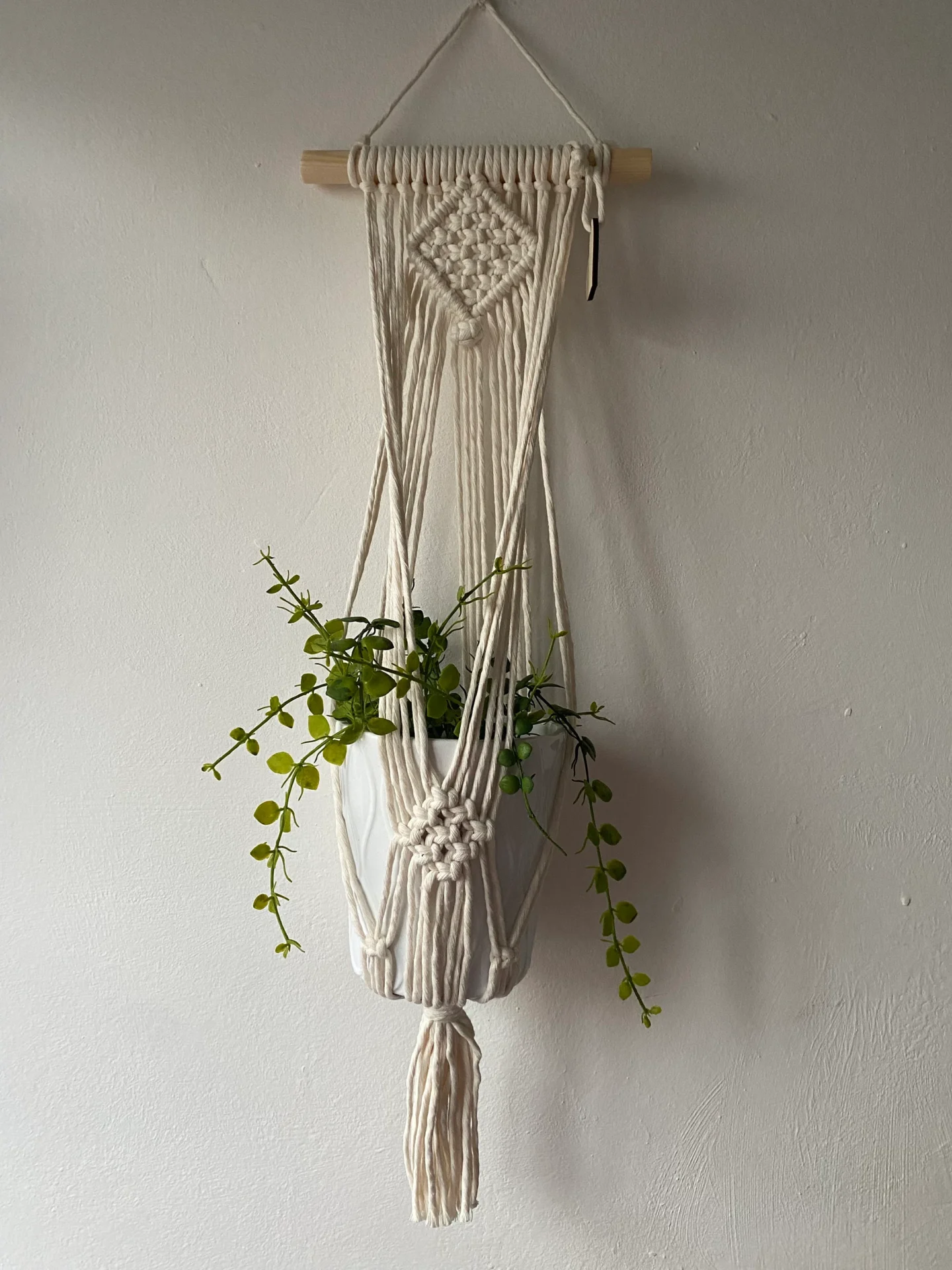 Macrame wall hanging indoor plant holder, made with natural recycled cotton on a wooden dowel.