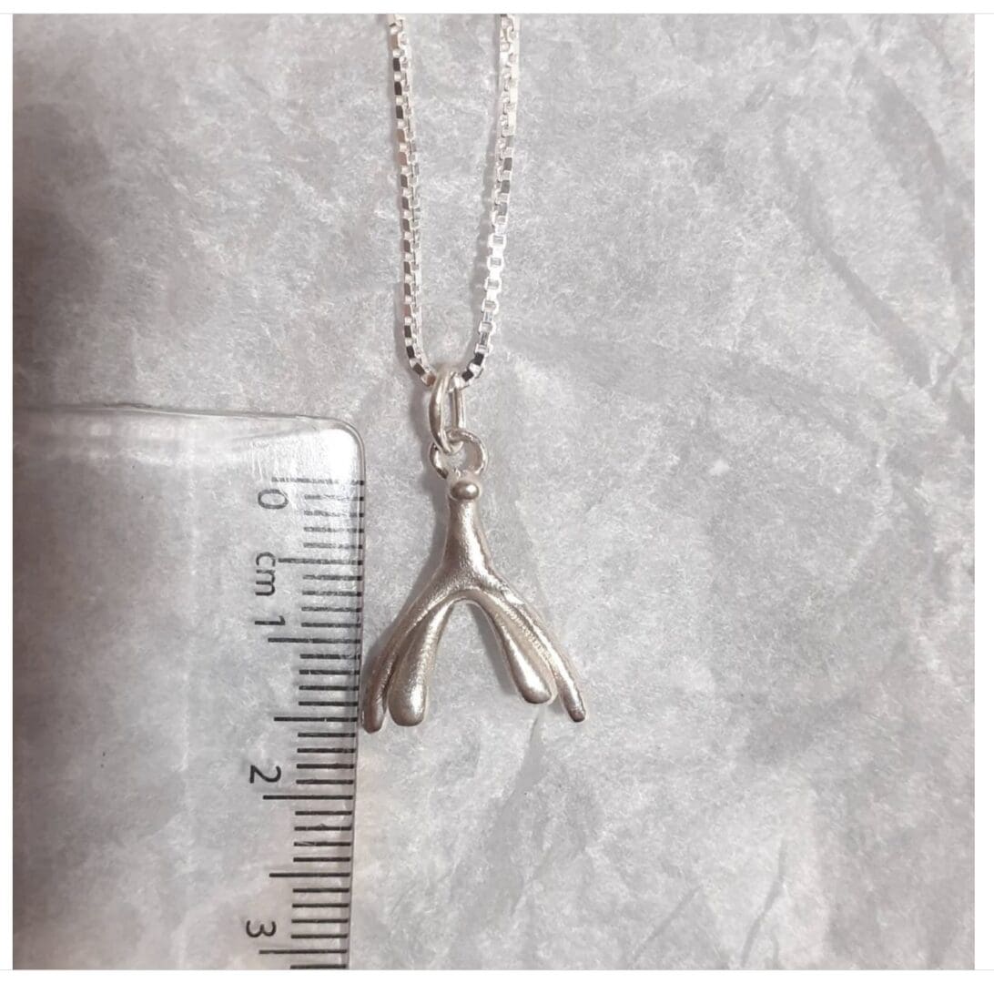 a small silver pendant in the shape of the internal clitoris