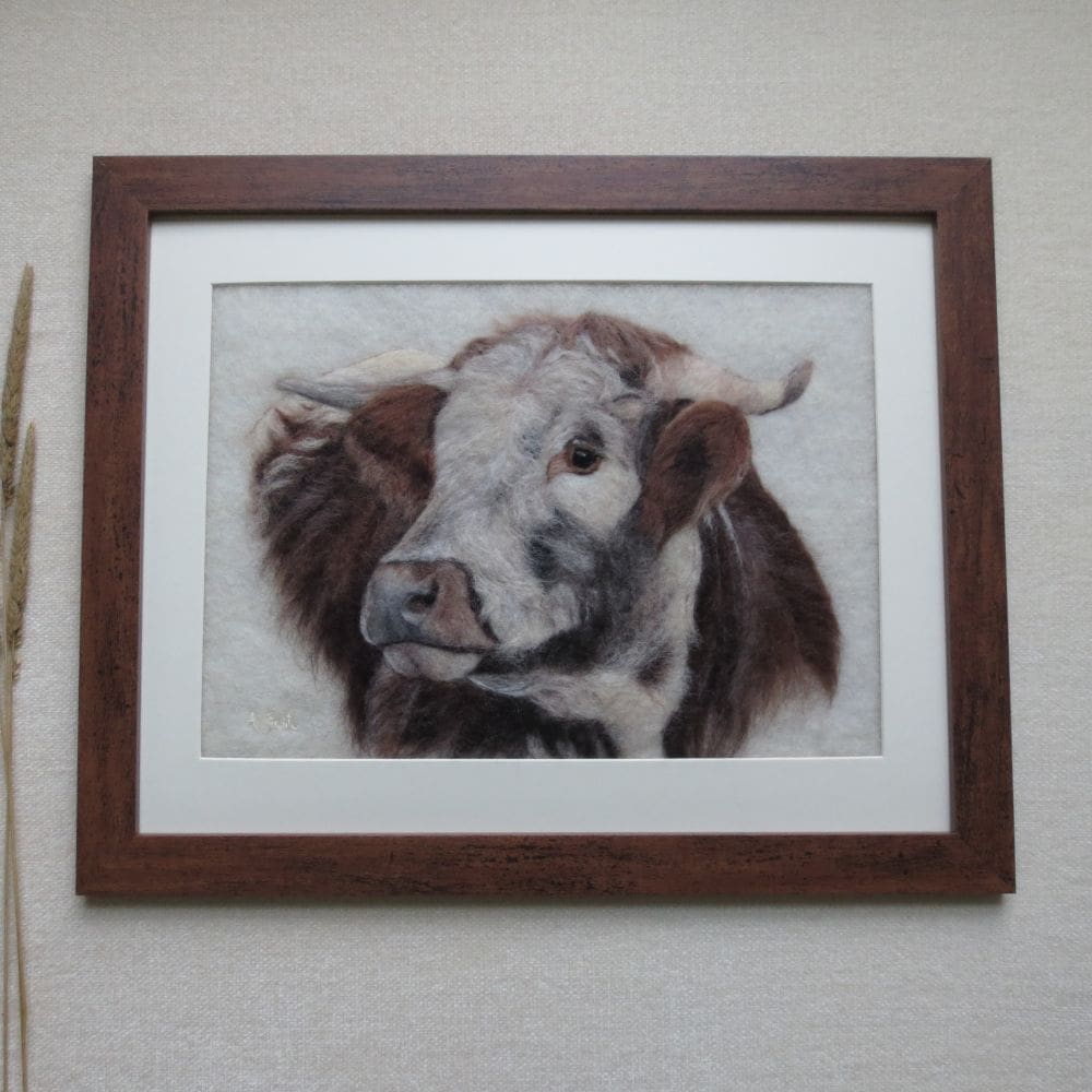 Head and shoulders of a brown and white cow with horns. The cow has a white face and brown nose and body and is looking towards the right.