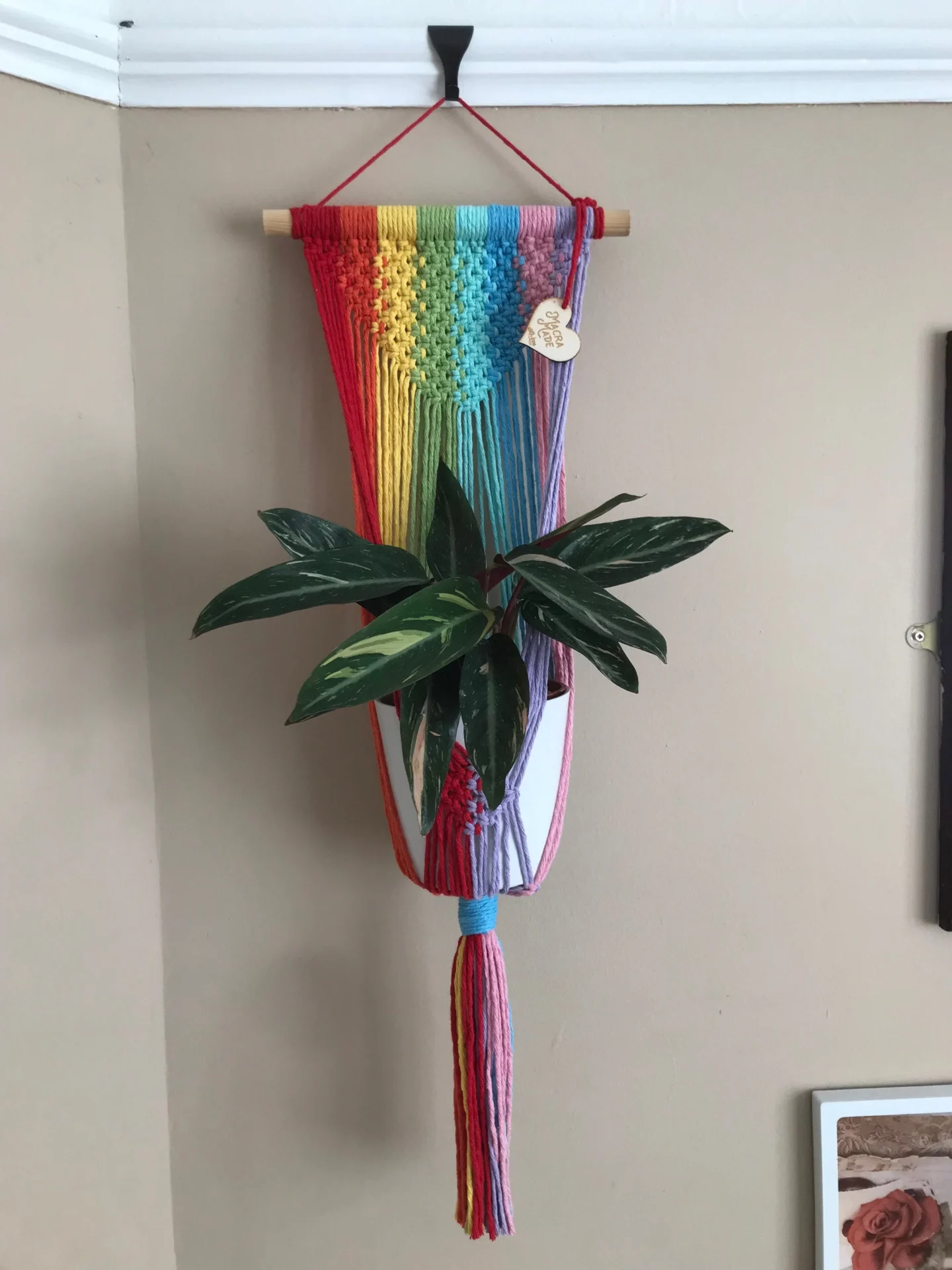 Large rainbow coloured wall hanging macrame plant hanger made with recycled cotton