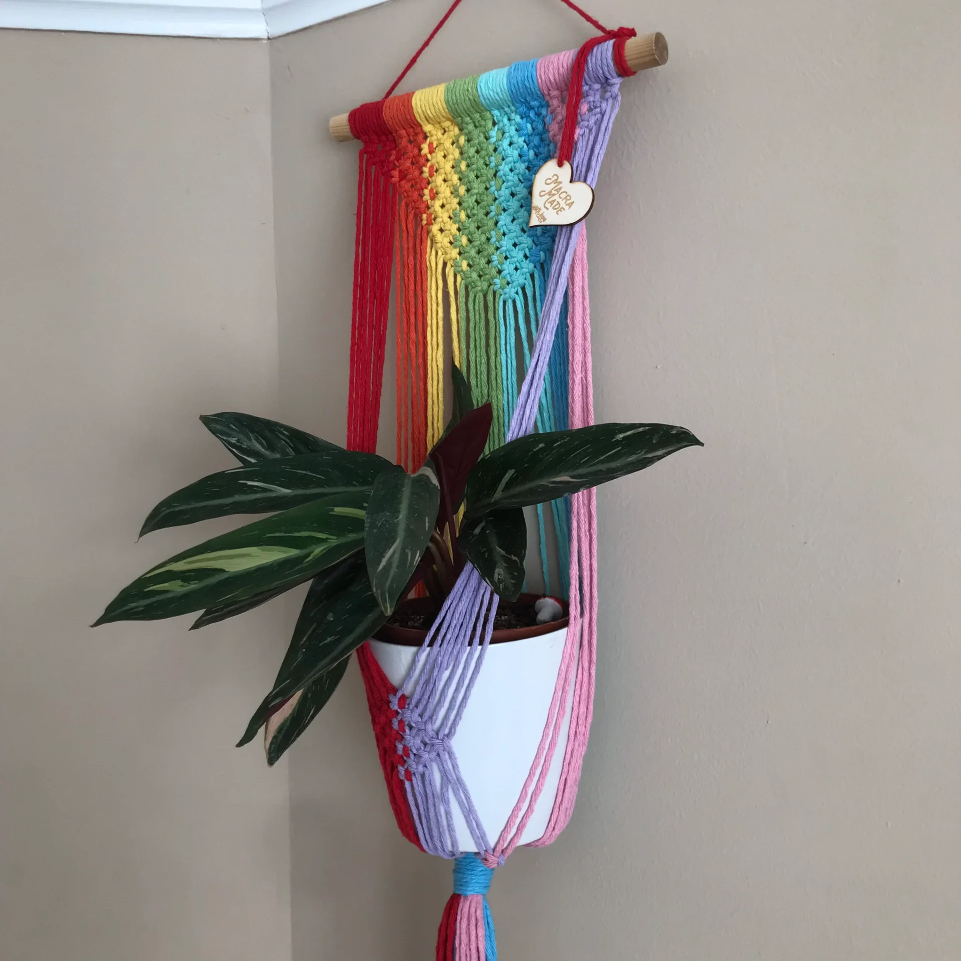 Large rainbow coloured wall hanging macrame plant hanger made with recycled cotton