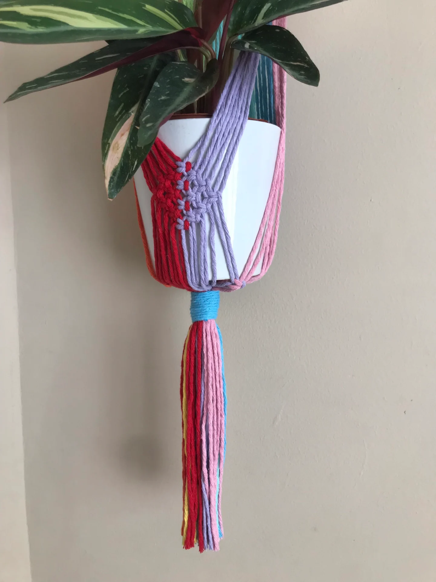 Large rainbow coloured wall hanging macrame plant hanger made with recycled cotton