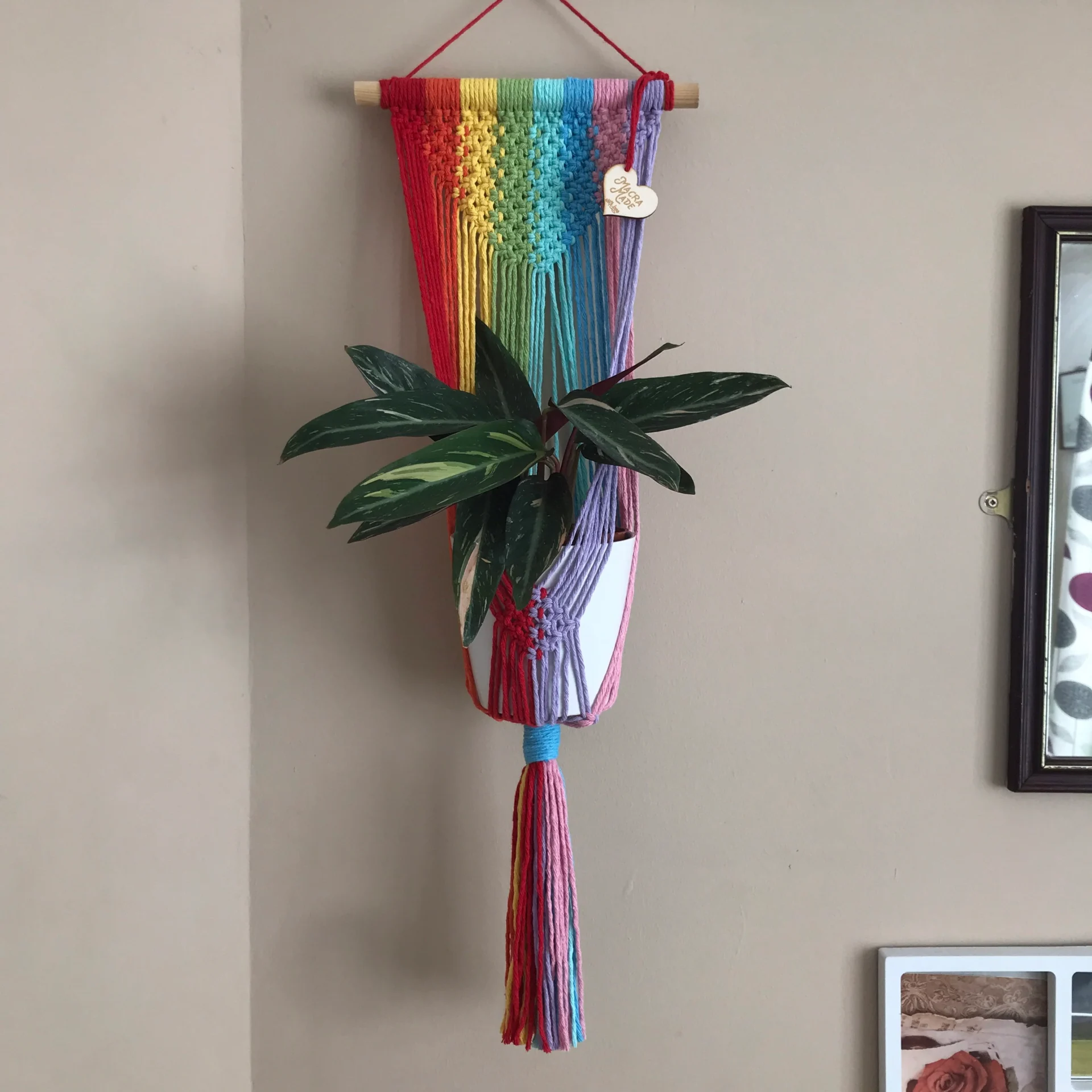 Large rainbow coloured wall hanging macrame plant hanger made with recycled cotton