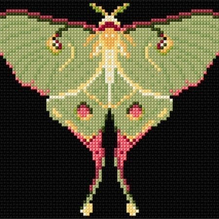 luna Moth Counted Cross-stitch Kit Animal Fayre Designer Tapestry Kits