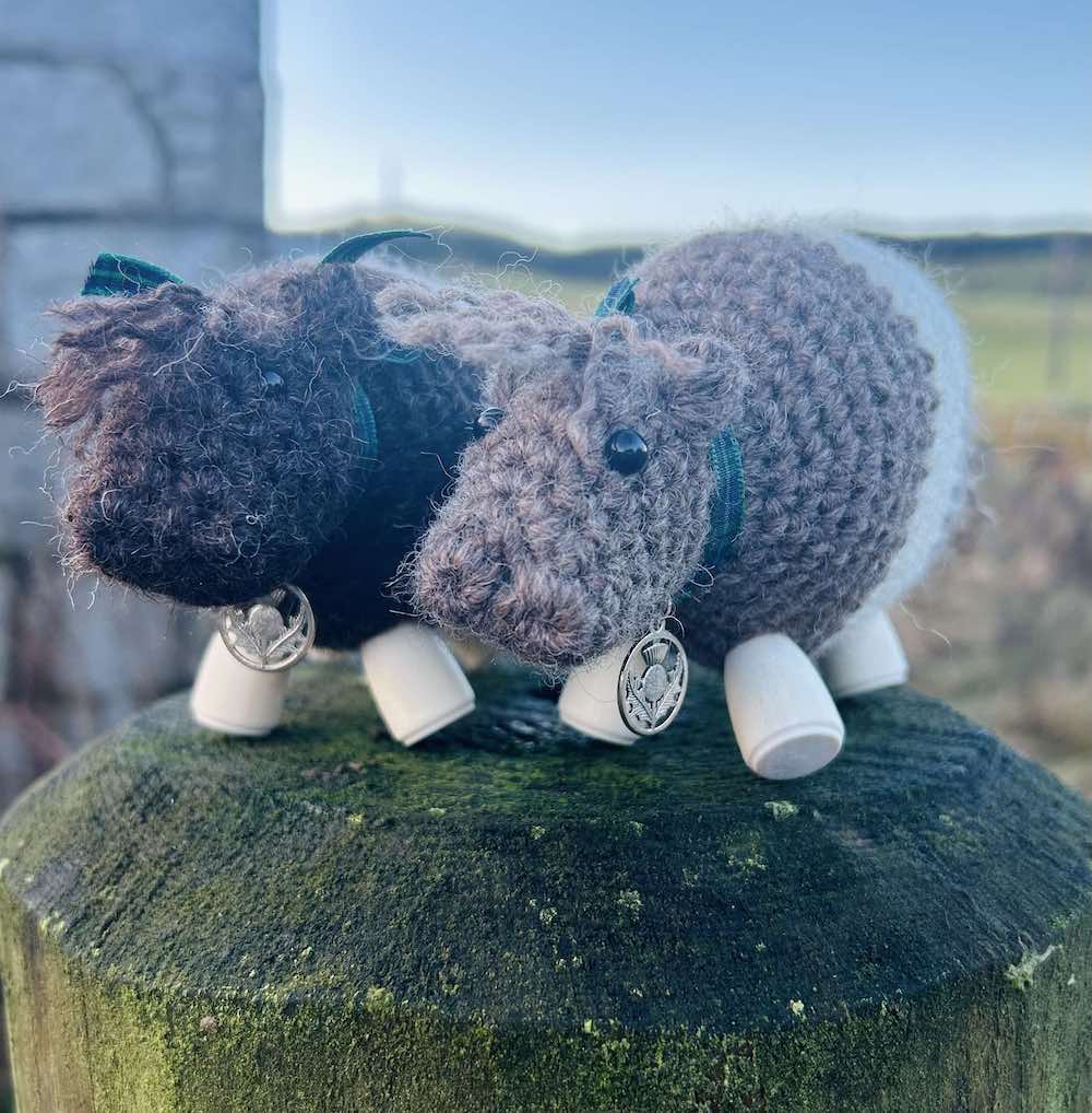 Two crocheted Bo' Beltie Galloway cows sit on top of a wooden post. Dark brown and light brown with a white stripe around their stomachs. Tartan ribbon around the necks with a silver Scottish thistle charm. Wooden legs. Design by Midge Porter Design. Design of a cow breed from Scotland.